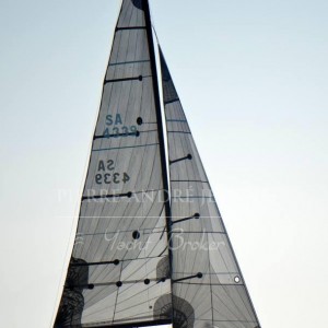 58667_514954331915972_168941933_n