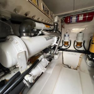 WhatsApp Image 2024-09-18 à 10.45.33_329eea40