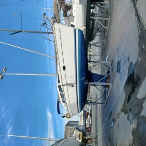 20230503_183631 – Copie