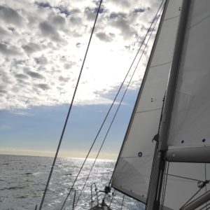 IMG-20231028-WA0011 – Copie