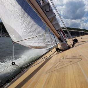 465003126_8616354895100998_9145393008185466902_n